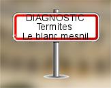 Diagnostic Termite ASE  à Le Blanc Mesnil